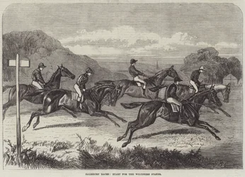 Salisbury Races, Start for the Wiltshire Stakes